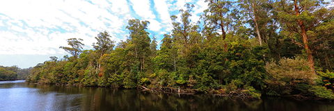 A R Reflections River Cruises - Accommodation Port Macquarie 0