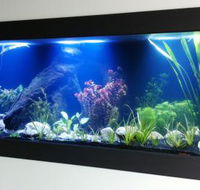 Aquariums in Cairns - Accommodation Port Macquarie
