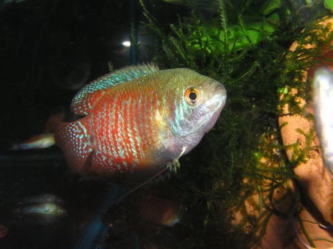 River To Reef Aquarium - Accommodation Port Macquarie 4