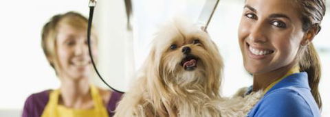 Port Stephens Pet Barn - Accommodation Port Macquarie 1