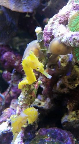 Tropical Marine Centre - Accommodation Port Macquarie 1