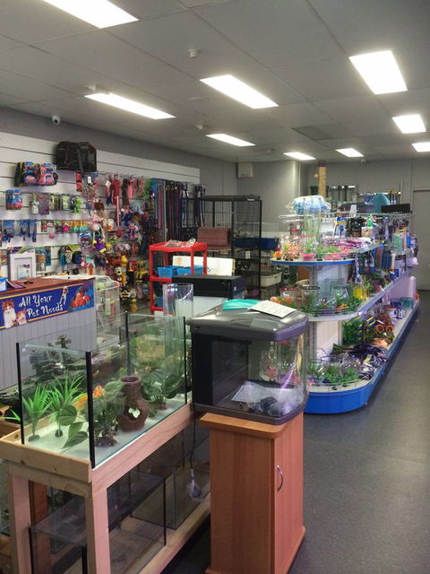 Nambour Pet Shop - Accommodation Port Macquarie 0