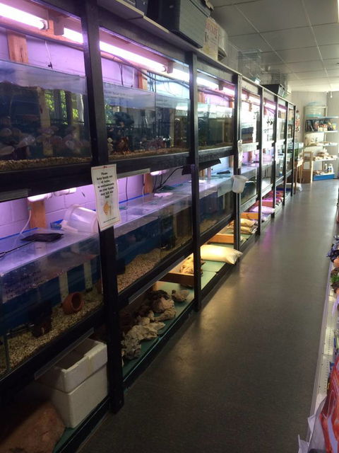 Nambour Pet Shop - Accommodation Port Macquarie 1