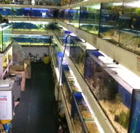 Clearwater Aquariums - Accommodation Port Macquarie