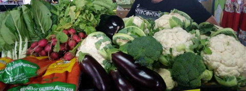 Arcade Car Park Markets - Accommodation Port Macquarie 0