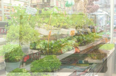 Warrawong Markets - Accommodation Port Macquarie 2