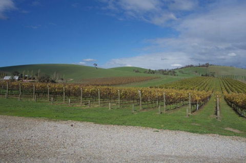 Wine Compass - Accommodation Port Macquarie 1