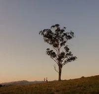 Faulls Ridge Winery - Accommodation Port Macquarie