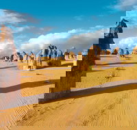 Pinnacles Desert Koalas and Sandboarding 4WD Day Tour from Perth - Accommodation Port Macquarie