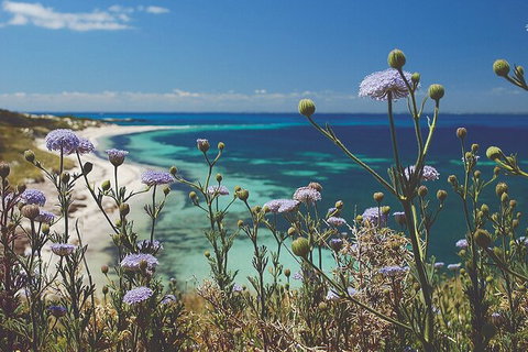 Rottnest Island Full-Day Trip With Guided Island Tour From Perth - Accommodation Port Macquarie 6
