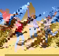 Pinnacles and Swan Valley Day Trip from Perth Including Caversham Wildlife Park Vineyard Lunch Pinnacles and Sandboarding - Accommodation Port Macquarie