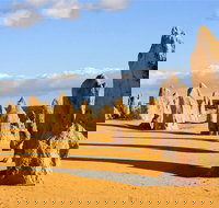 Pinnacles and Yanchep National Park Day Trip from Perth Including Lobster Shack Lunch and Sandboarding - Accommodation Port Macquarie