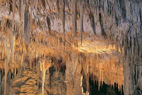 Margaret River, Caves, Wine And Cape Leeuwin Lighthouse Tour From Perth - Accommodation Port Macquarie 27