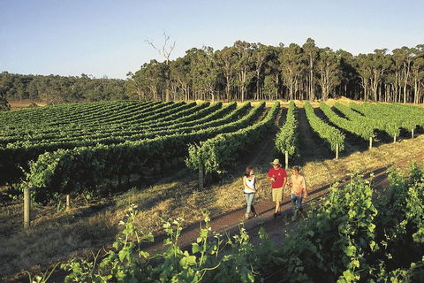 Margaret River, Caves, Wine And Cape Leeuwin Lighthouse Tour From Perth - Accommodation Port Macquarie 26