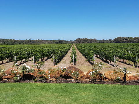 Margaret River Food, Wine & Sightseeing Tour From Perth - Accommodation Port Macquarie 5