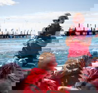 Rottnest Island Tour from Perth or Fremantle including Adventure Speed Boat Ride - Accommodation Port Macquarie