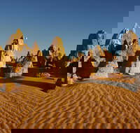 Pinnacles Day Trip from Perth Including Yanchep National Park - Accommodation Port Macquarie