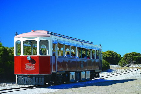 Rottnest Island Grand Tour Including Lunch And Historical Train Ride - Accommodation Port Macquarie 6