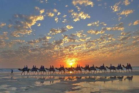 1 Hour Broome Sunset Camel Tour - Accommodation Port Macquarie 0