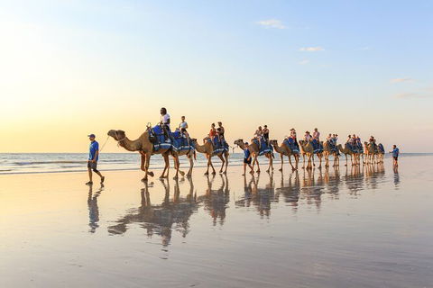 1 Hour Broome Sunset Camel Tour - Accommodation Port Macquarie 7