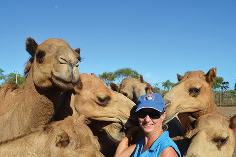1 Hour Broome Sunset Camel Tour - Accommodation Port Macquarie 8