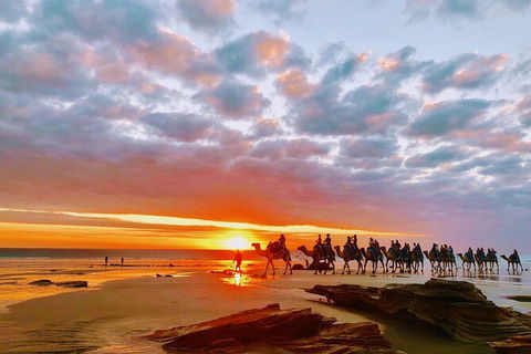 1 Hour Broome Sunset Camel Tour - Accommodation Port Macquarie 10