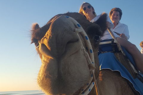 1 Hour Broome Sunset Camel Tour - Accommodation Port Macquarie 2
