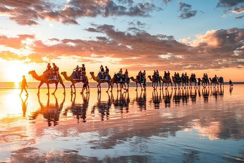 1 Hour Broome Sunset Camel Tour - Accommodation Port Macquarie 9