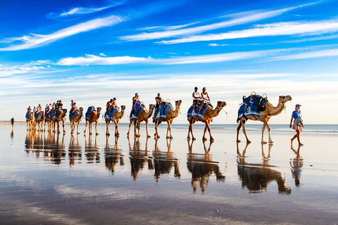 1 Hour Broome Sunset Camel Tour - Accommodation Port Macquarie 6