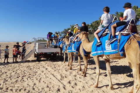 1 Hour Broome Sunset Camel Tour - Accommodation Port Macquarie 3
