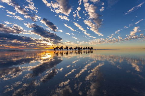 1 Hour Broome Sunset Camel Tour - Accommodation Port Macquarie 5