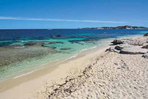 Rottnest Island Bayseeker Tour - Accommodation Port Macquarie 2