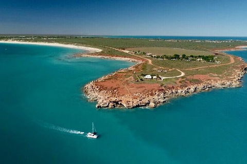 Snubfin Dolphin Eco Cruise From Broome - Accommodation Port Macquarie 7