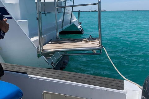 Snubfin Dolphin Eco Cruise From Broome - Accommodation Port Macquarie 15