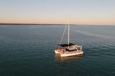 Snubfin Dolphin Eco Cruise From Broome - Accommodation Port Macquarie 12