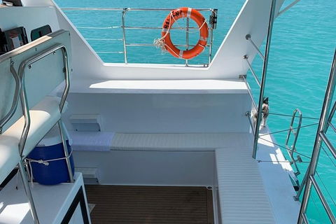 Snubfin Dolphin Eco Cruise From Broome - Accommodation Port Macquarie 14