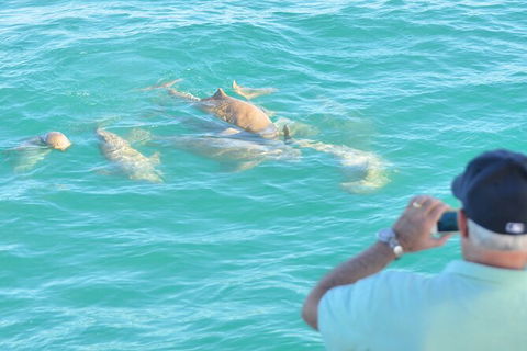 Snubfin Dolphin Eco Cruise From Broome - Accommodation Port Macquarie 3