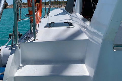 Snubfin Dolphin Eco Cruise From Broome - Accommodation Port Macquarie 13