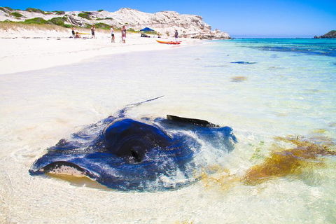 Private Custom Margaret River Tour - Accommodation Port Macquarie 0
