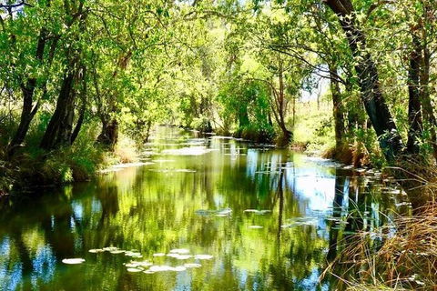 Gorgeous Gorges Tour - Windjana & Bell Gorge, Mt Hart, Cape Leveque - Accommodation Port Macquarie 8