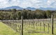 Mt Barker Grape Escape - thumb 1