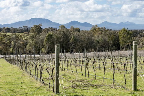 Mt Barker Grape Escape - Accommodation Port Macquarie 1