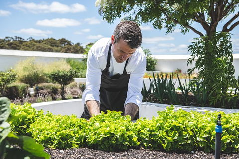 Voyager Estate: Private Winery Tasting Tour In Margaret River With Lunch - Accommodation Port Macquarie 8