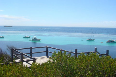 Rottnest Bayseeker Bus Tour From Hillarys Boat Harbour - Accommodation Port Macquarie 3