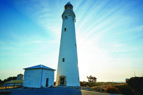 Rottnest Bayseeker Bus Tour From Hillarys Boat Harbour - Accommodation Port Macquarie 4