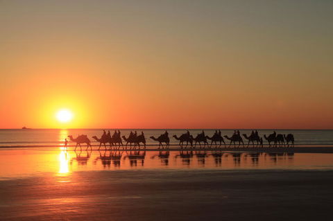 Broome City Sightseeing Tour With Optional Camel Ride - Accommodation Port Macquarie 2