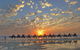 Broome City Sightseeing Tour With Optional Camel Ride - thumb 0
