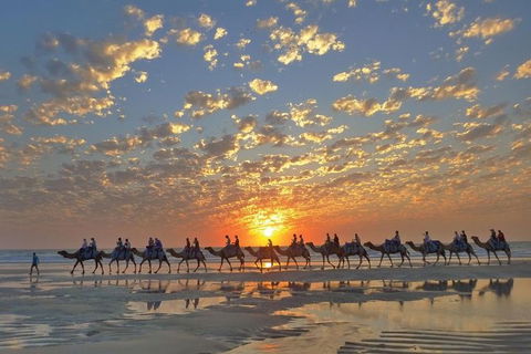 Broome City Sightseeing Tour With Optional Camel Ride - Accommodation Port Macquarie 0