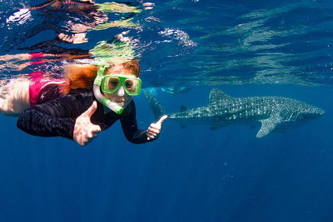 VIP Luxury Chartered Escapes, Exploring The Reef At Your Own Pace - Accommodation Port Macquarie 20