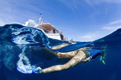 VIP Luxury Chartered Escapes, Exploring The Reef At Your Own Pace - Accommodation Port Macquarie 40